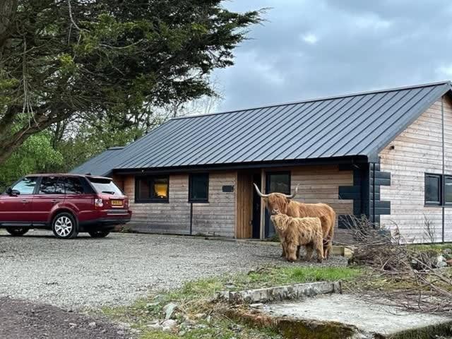 New Build Lodge With Stunning Views Of Loch Awe Hayfield  Luaran gambar